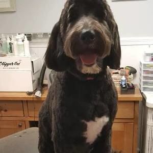 Meet your Posher, Kristin